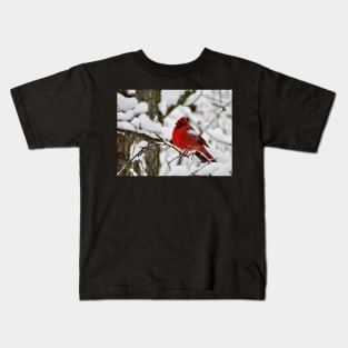 Winter Cardinal Kids T-Shirt